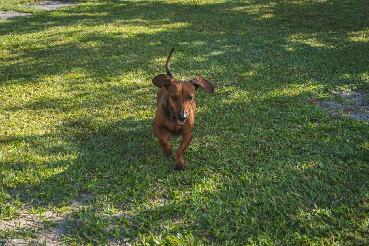 Casa Vista Para Montanha Pet Friendly Caraguatatuba Dış mekan fotoğraf